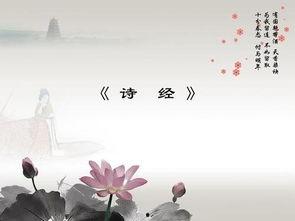 诗篇65的背景,感恩颂歌中的心灵慰藉与希望之光