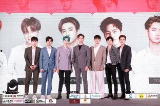 ys娱乐传媒,引领潮流的娱乐盛宴